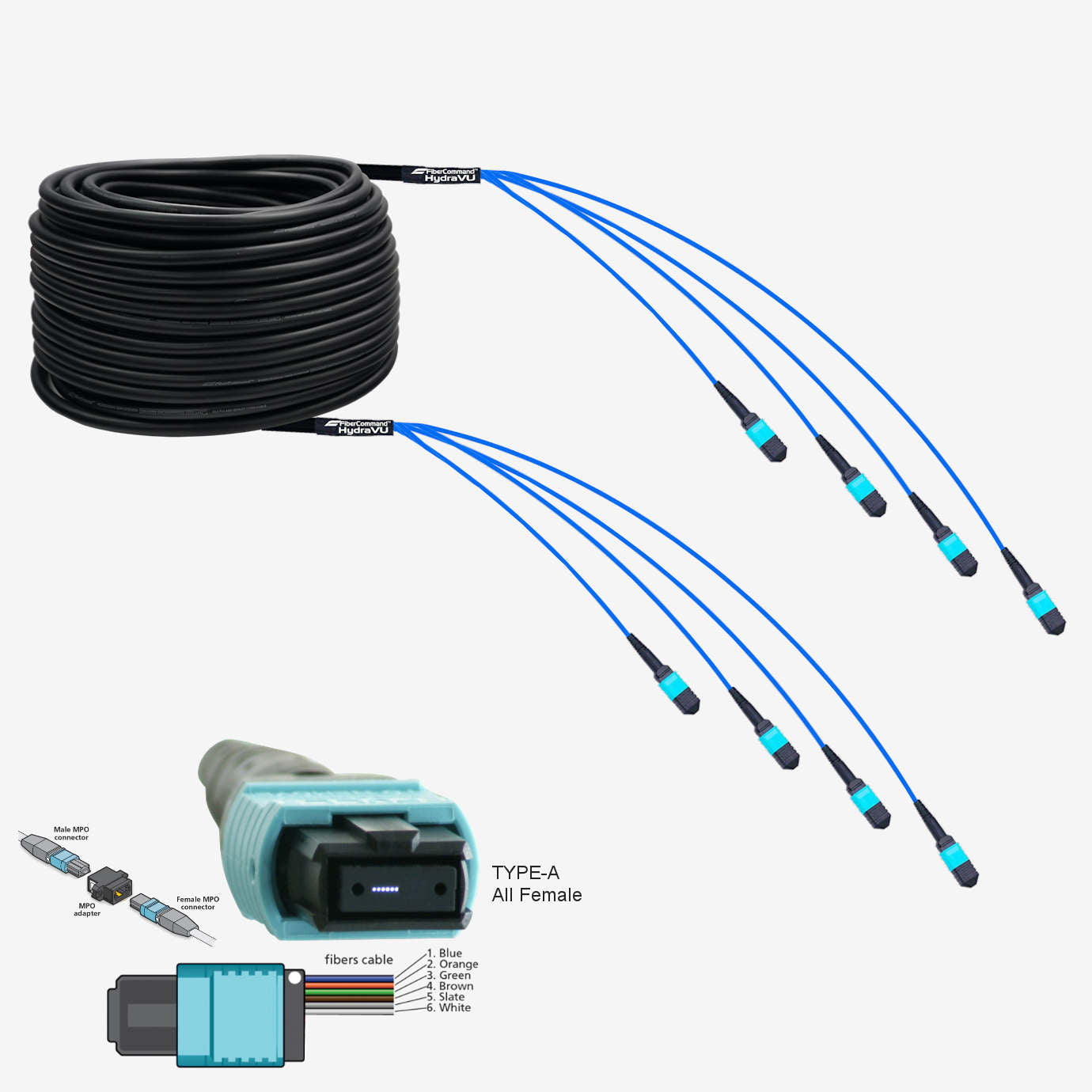 Hydraview® 24 | كابل الألياف البصرية 24 خيوط منتهية مسبقًا بـ 4 MPO