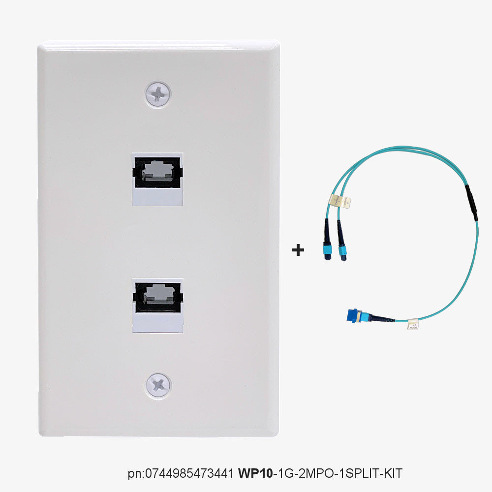 FiberWallplate® - WP10 | To MPO stik