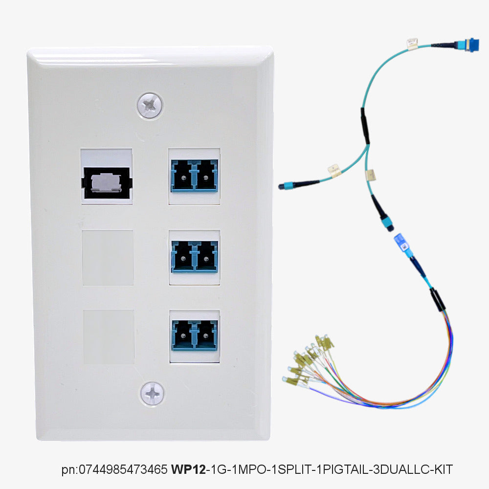 FiberWallplate® - WP12  |  Mpo  &  LC & Splitter